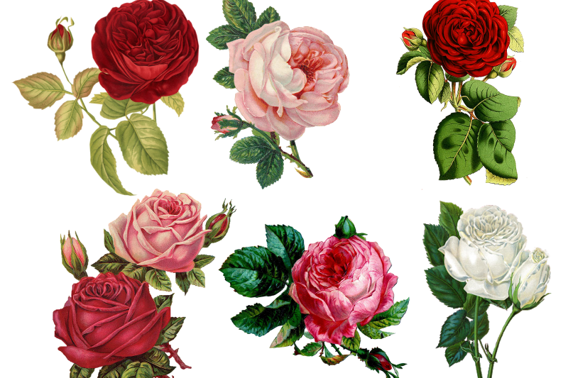 gemeinsames essen clipart flowers